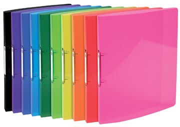 [TIM-54670E] Ringmap Exacompta PP A4 2 O-ringen 23mm rug 20mm assorti