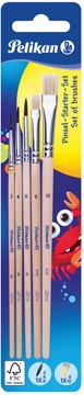 [TIM-700566] Penselenset Pelikan S613F nummers 6 en 10 en S24 nummers 2, 4 en 6