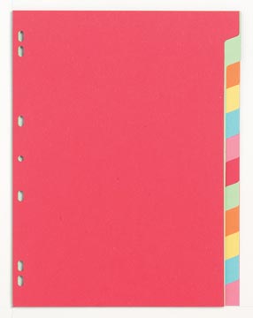 [TIM-901270] Tabbladen Pergamy karton A4 225g 12 tabs 11-gaats assorti