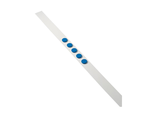 [TIM-95365] Zelfklevende magneetband Dahle 50mmx1m wit incl. 5 magneten blauw 32mm