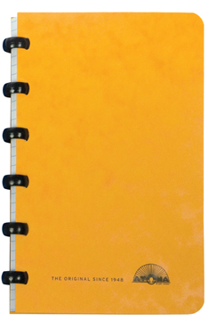[TIM-A1404] Schrift Atoma Basic Lyon karton 98x144mm geruit 120blz assorti
