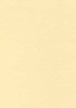 [TIM-PCL1677] Structuurpapier Decadry A4 165gr champagne (50)