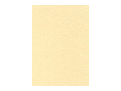 [TIM-PCL1677] Structuurpapier Decadry A4 165gr champagne (50)